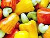 Hạt điều Việt Nam khẳng định vị thế trên thị trường thế giới (24/10/2006)